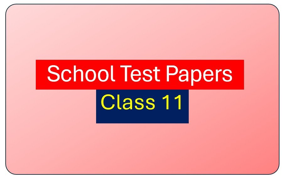School Test Papers Class 11